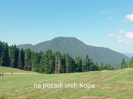 IMG_20260808_210621