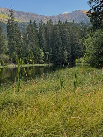 023_Vrbické Pleso