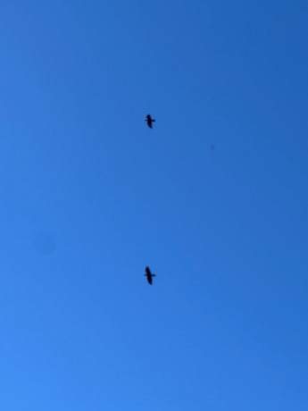 013_lietavci_1
