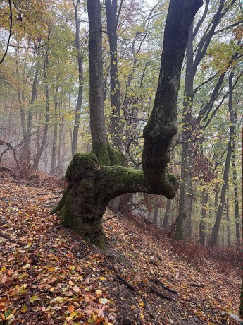 012_dvojstrom