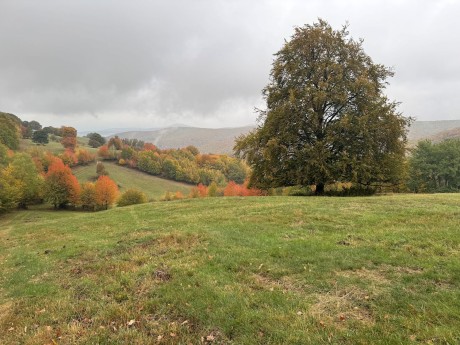 015_na pasienkoch nad Prostrednou dolinou