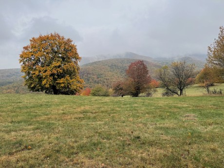 016_na pasienkoch nad Prostrednou dolinou