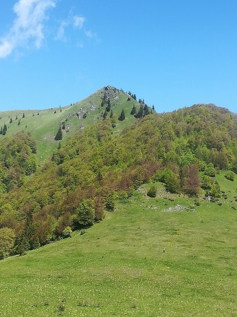 007_pohľad na vrch Osnica