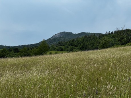017_Temešská skala z lúky nad Liešťanmi