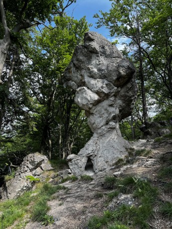 007_Kojšovský budzogáň