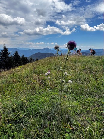 008_pichliač s Rakytovom