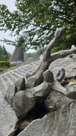 IMG-20250904-WA0130