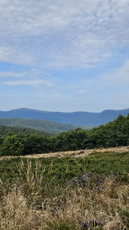 IMG-20250904-WA0111