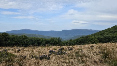 IMG-20250904-WA0112