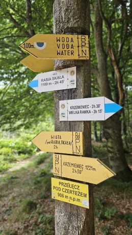 IMG-20250904-WA0101