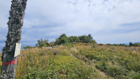 IMG-20250904-WA0099