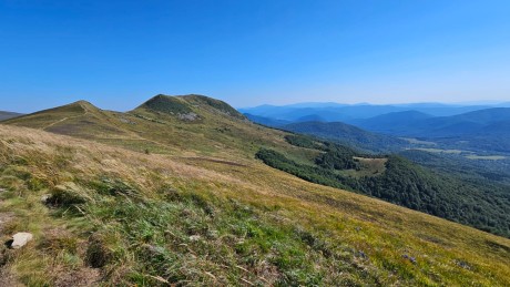 IMG-20250904-WA0042