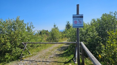 IMG-20250904-WA0029