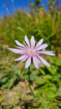 IMG-20250904-WA0030