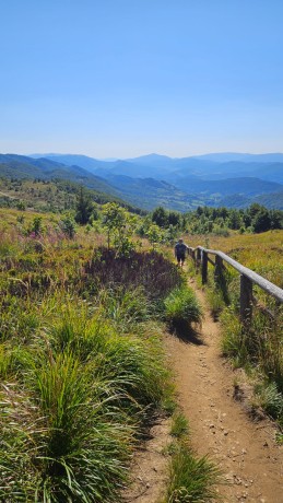 IMG-20250904-WA0031