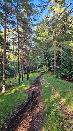 046_Chodník do Nitrianskeho Rudna