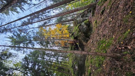 006_Klokočovské skálie