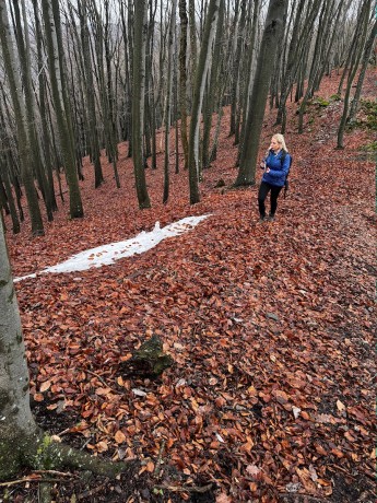 012_a snehových polí, teda jednoho