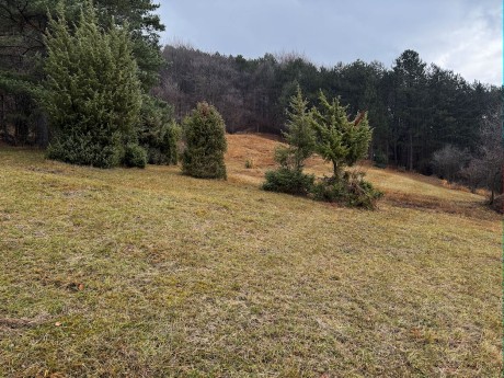 020_lúky nad Omšením