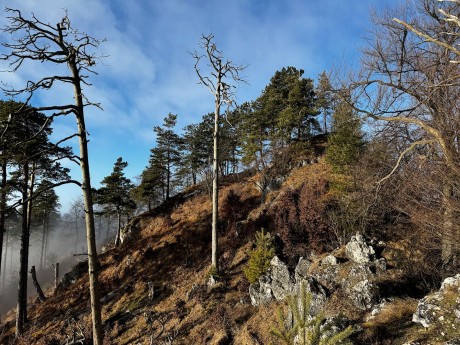 034_vrchol Málenice so suchármi