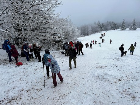 017_zástup na lúke