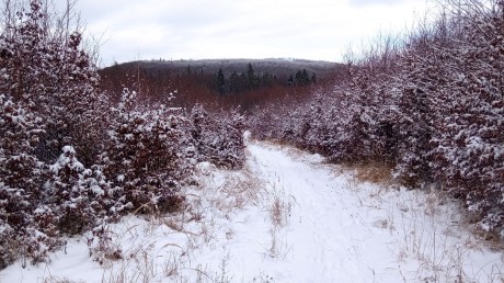 06_zostup z Grofovca