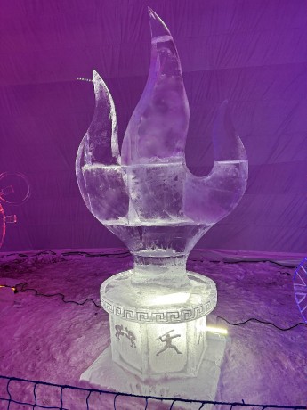 004_z menšieho mrazáku_Olympijsky plameň