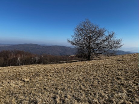 007_Pán strom_Kúsok vľavo je Vršatec a Chotúč