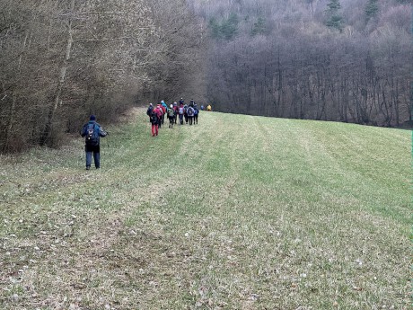 002_pospíchame k lesu