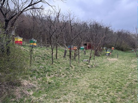 031_zaujímavá včelnica