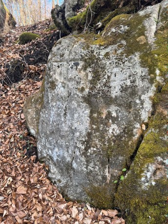 003_z_Rúnových znakov v Bodinej