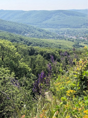 009_kvety s Borinkou