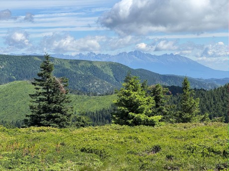 008_IMG_0977_prvý pohľad na Vysoké Tatry