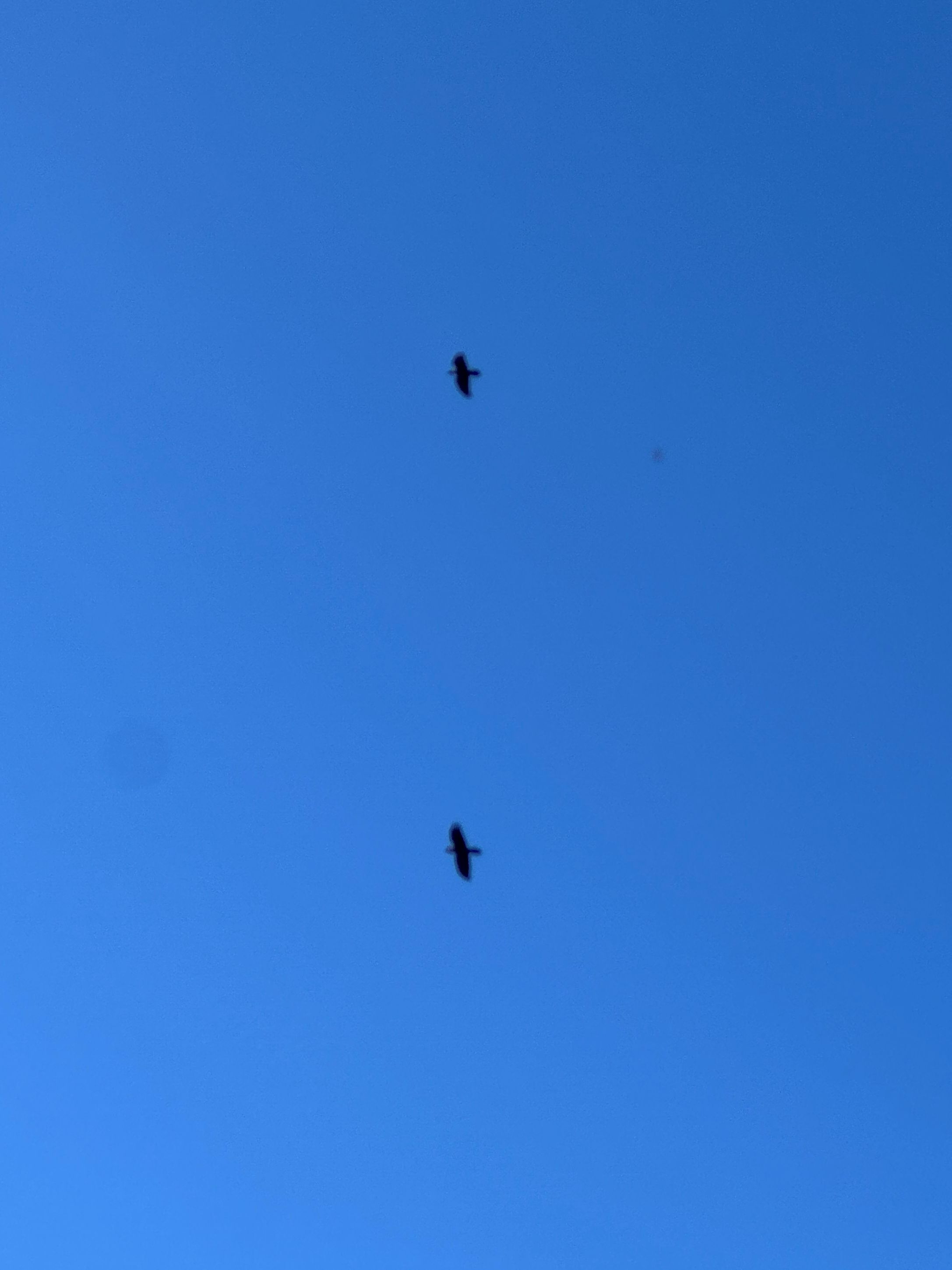 013_lietavci_1