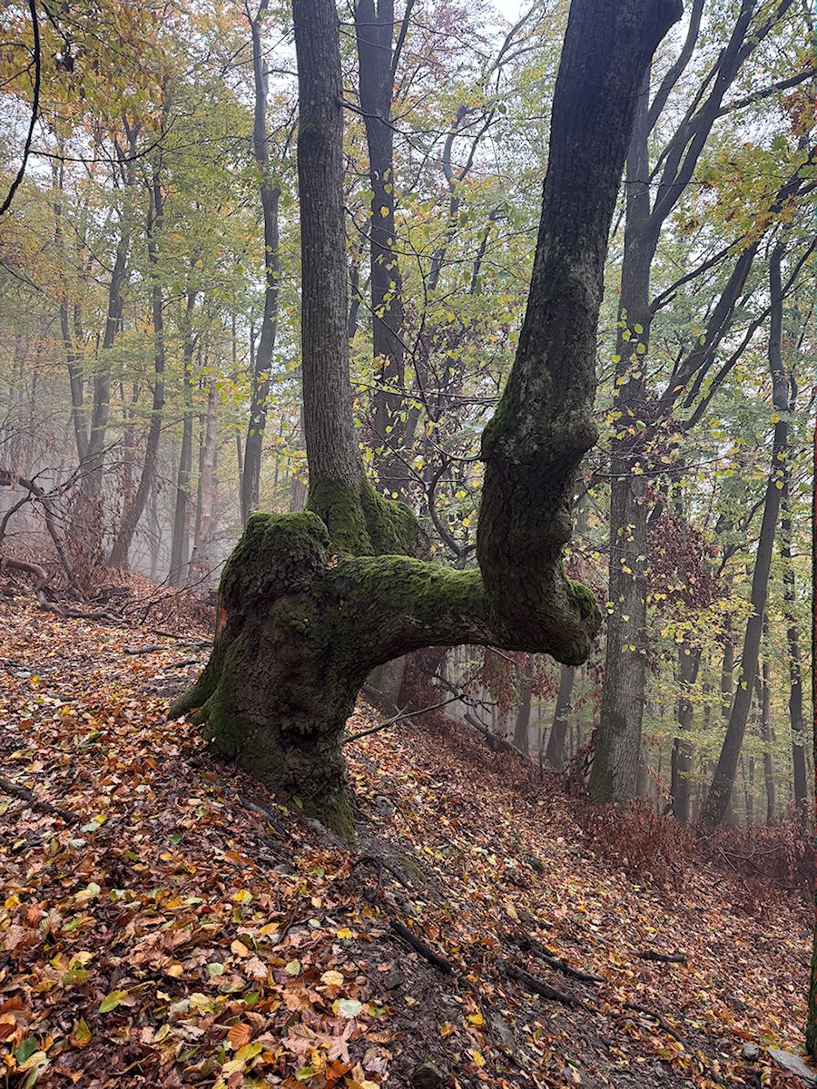 012_dvojstrom