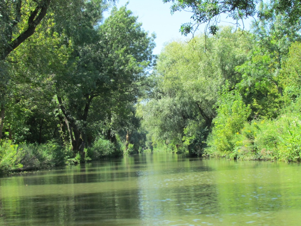 15 Scenéria Baťovho kanála z Lode