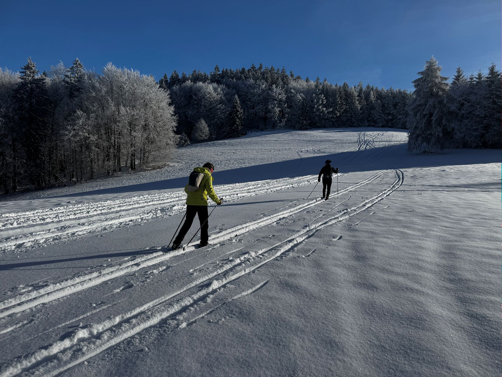 010_na lúke pod Okršliskom