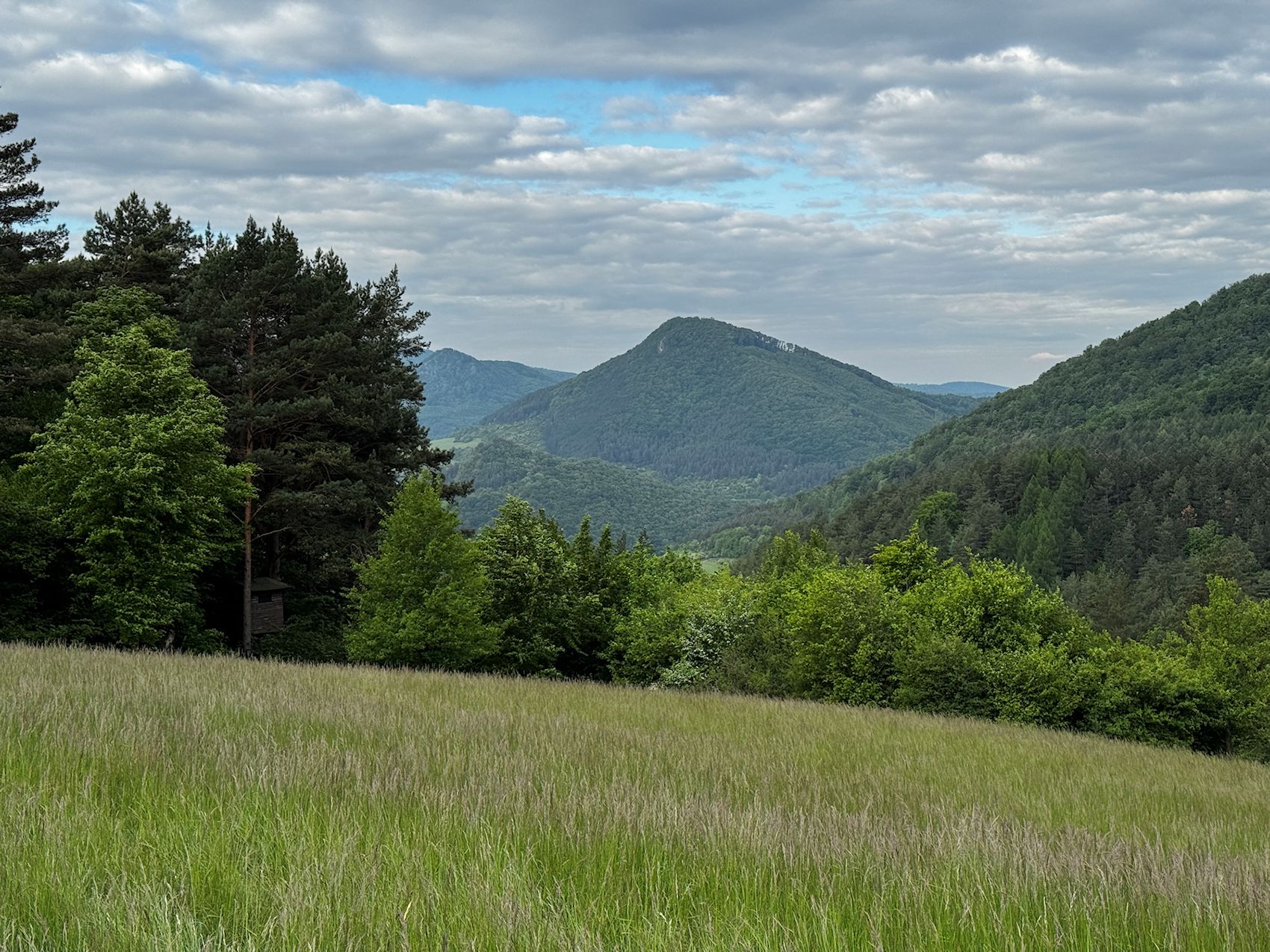 003_Sokol a Vlčinec