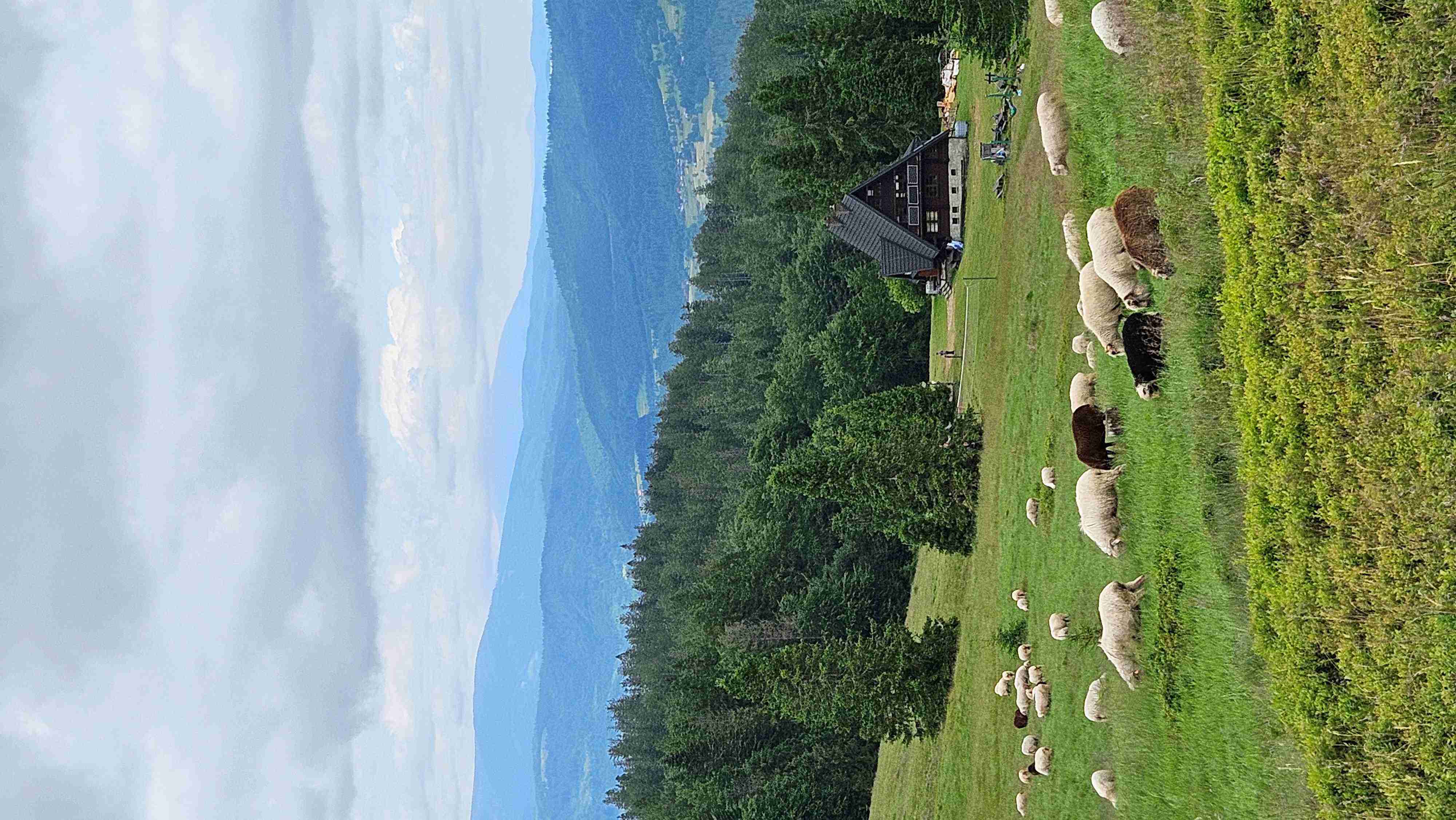 20250628_113744