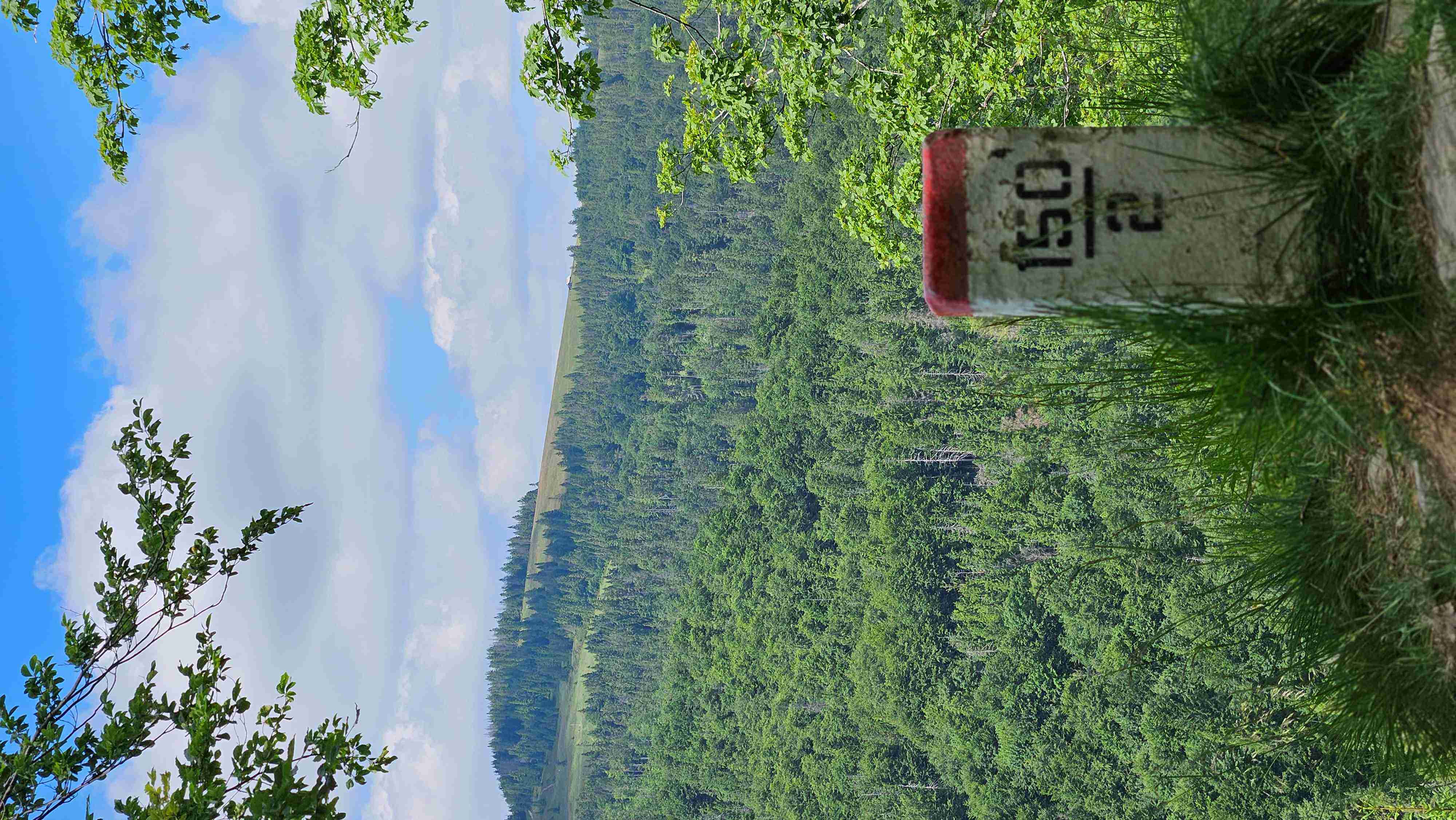 20250628_141048