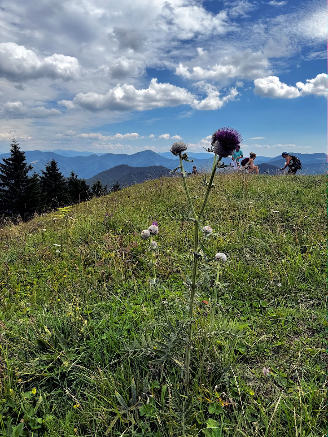 008_pichliač s Rakytovom