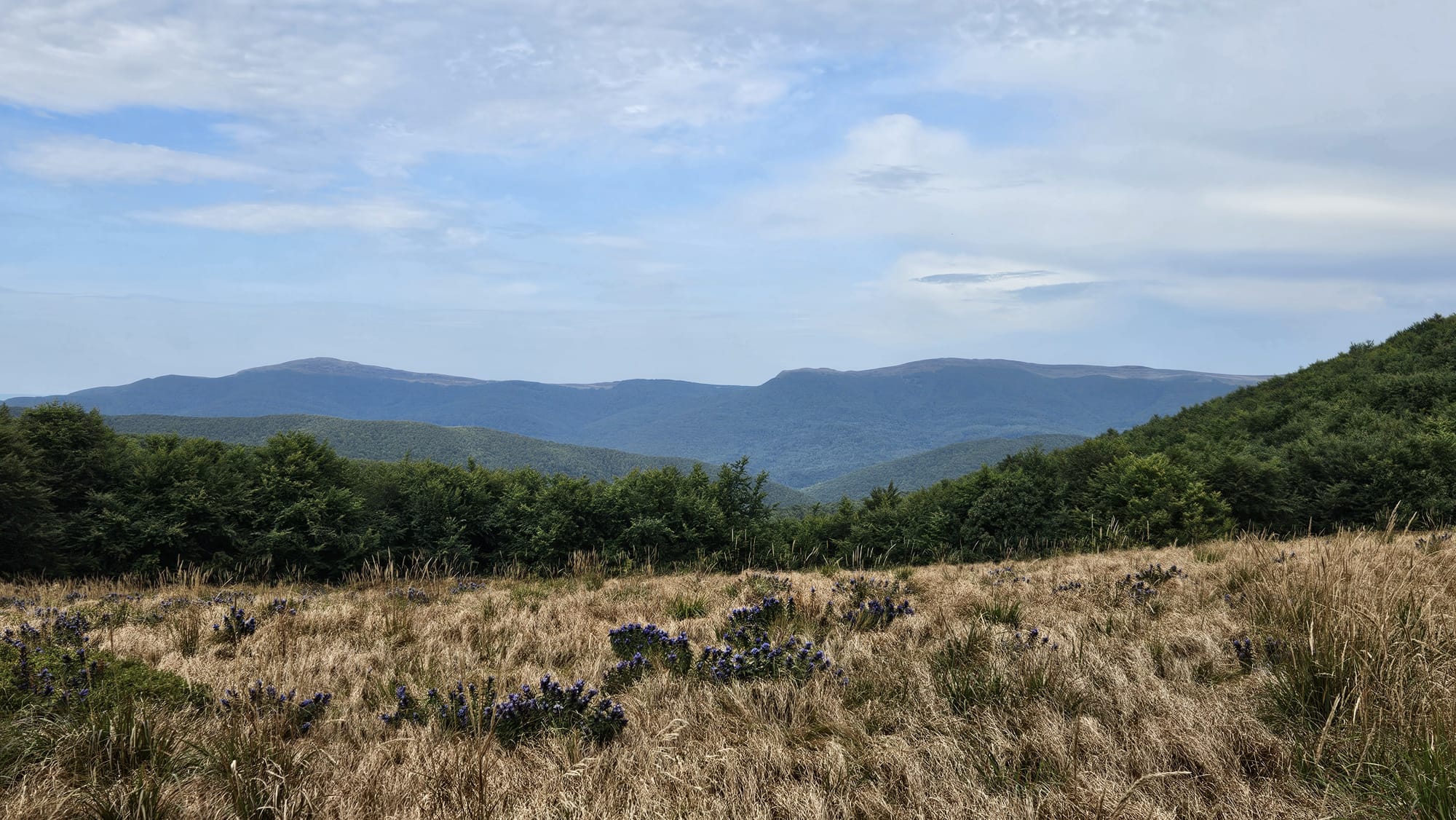 IMG-20250904-WA0112