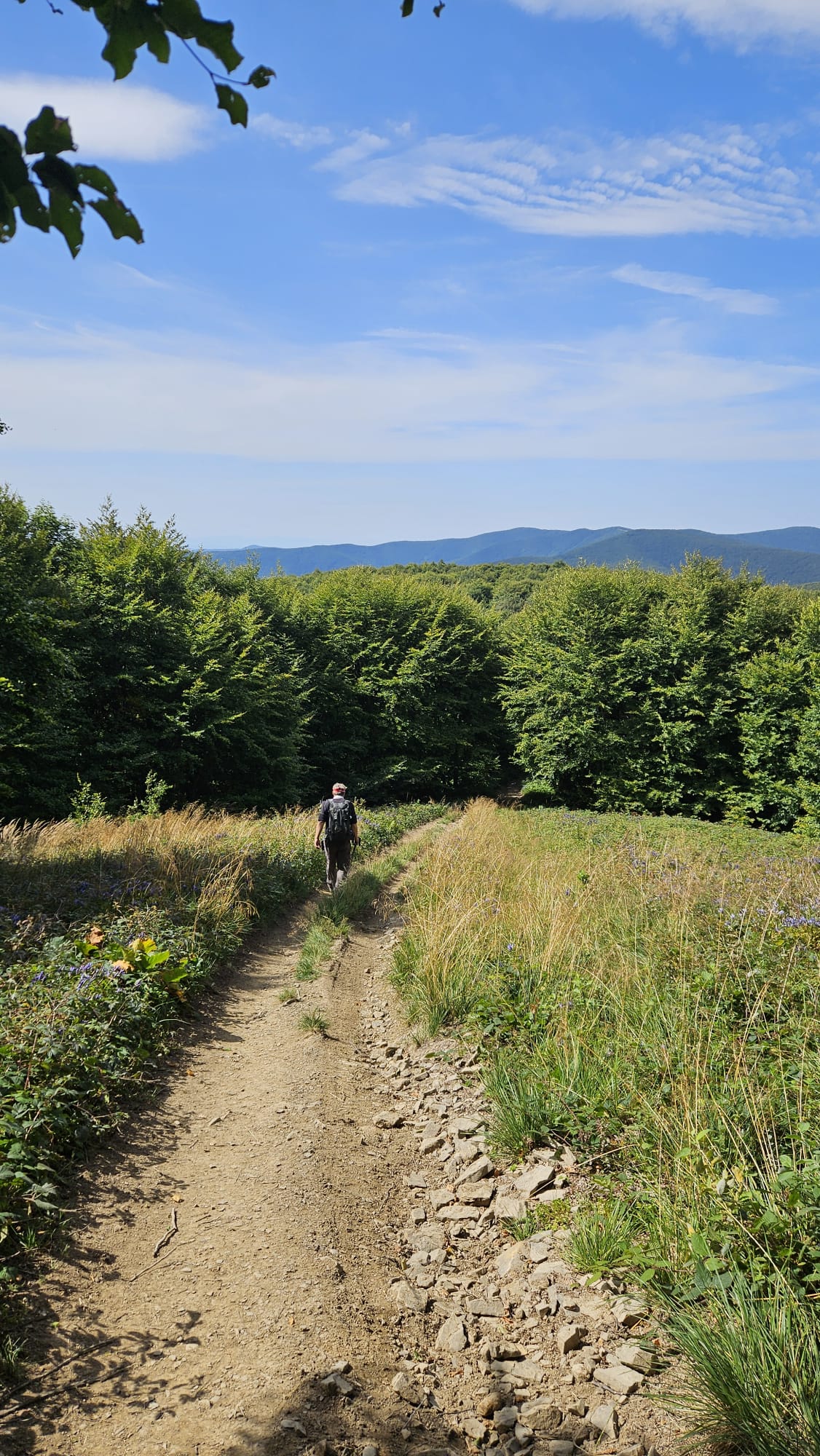 IMG-20250904-WA0103