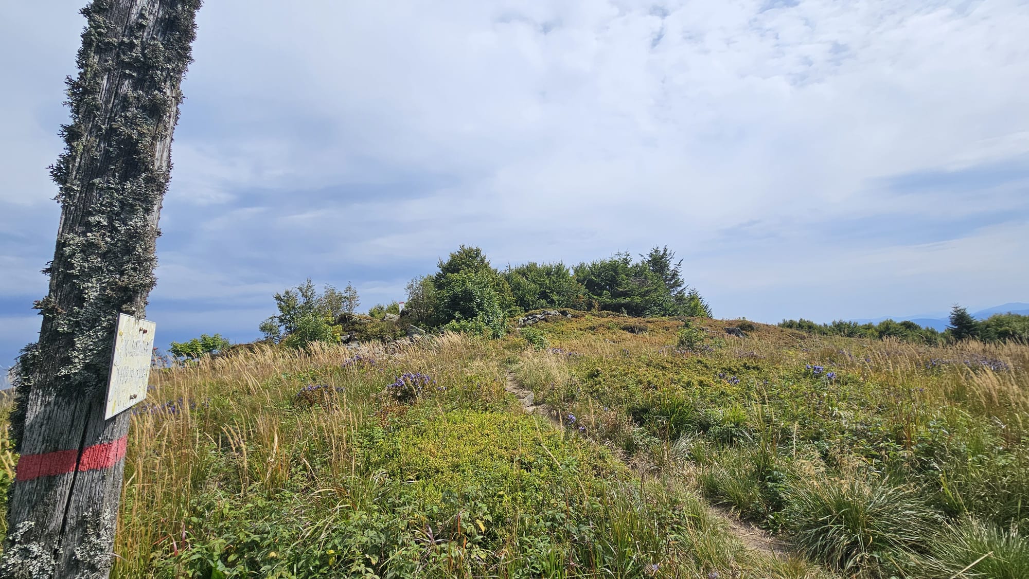 IMG-20250904-WA0099