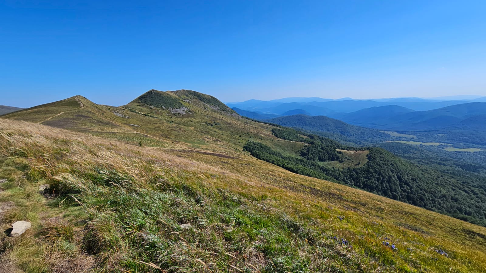 IMG-20250904-WA0042