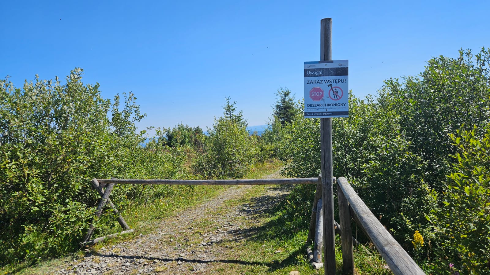 IMG-20250904-WA0029