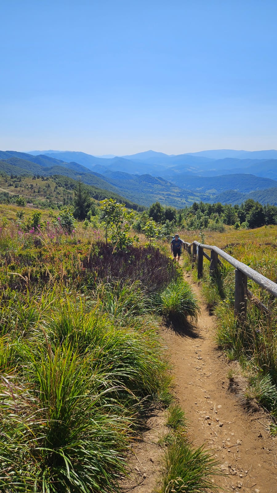 IMG-20250904-WA0031