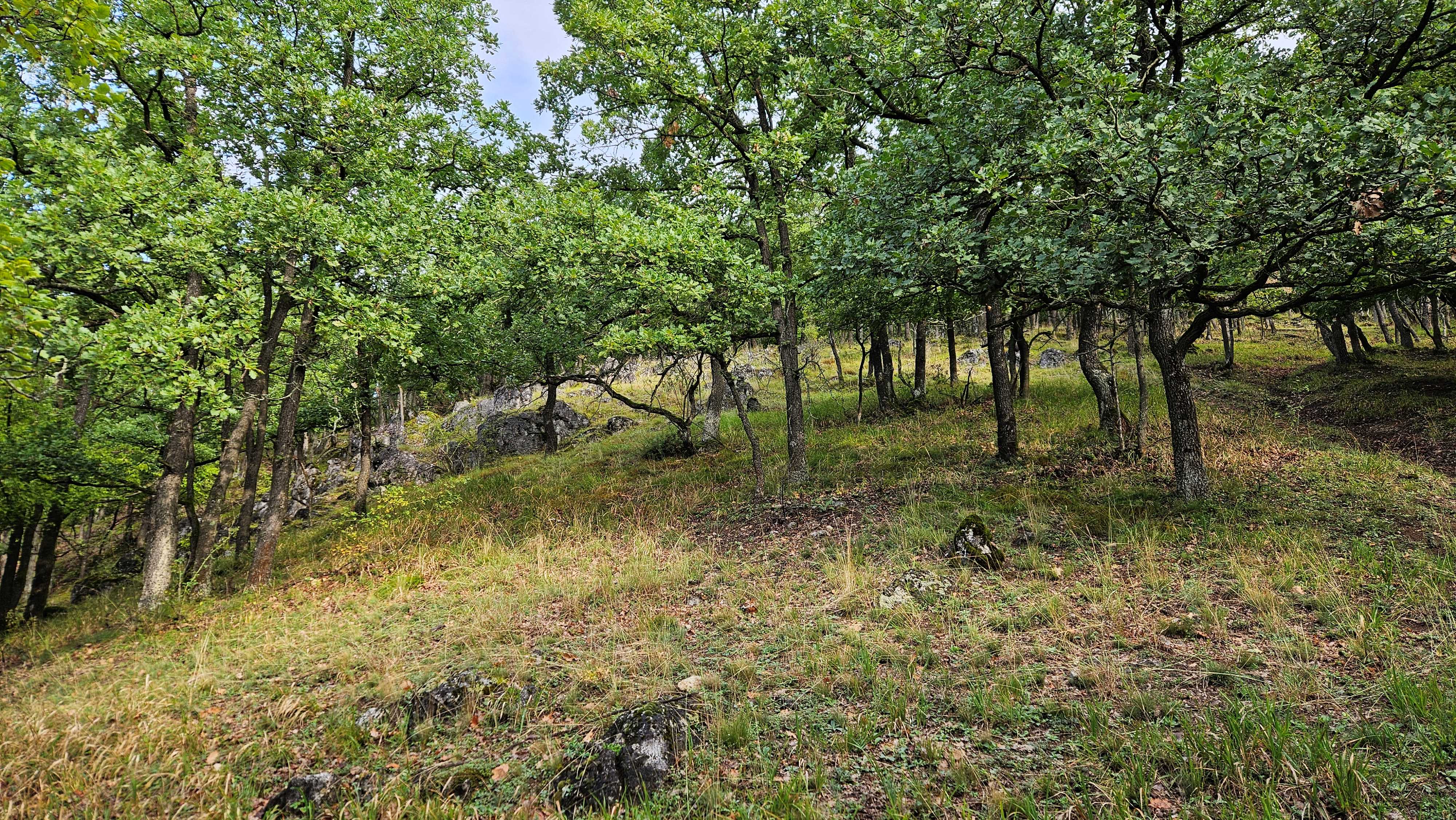 002_Stúpanie hájom nad Vestenicami