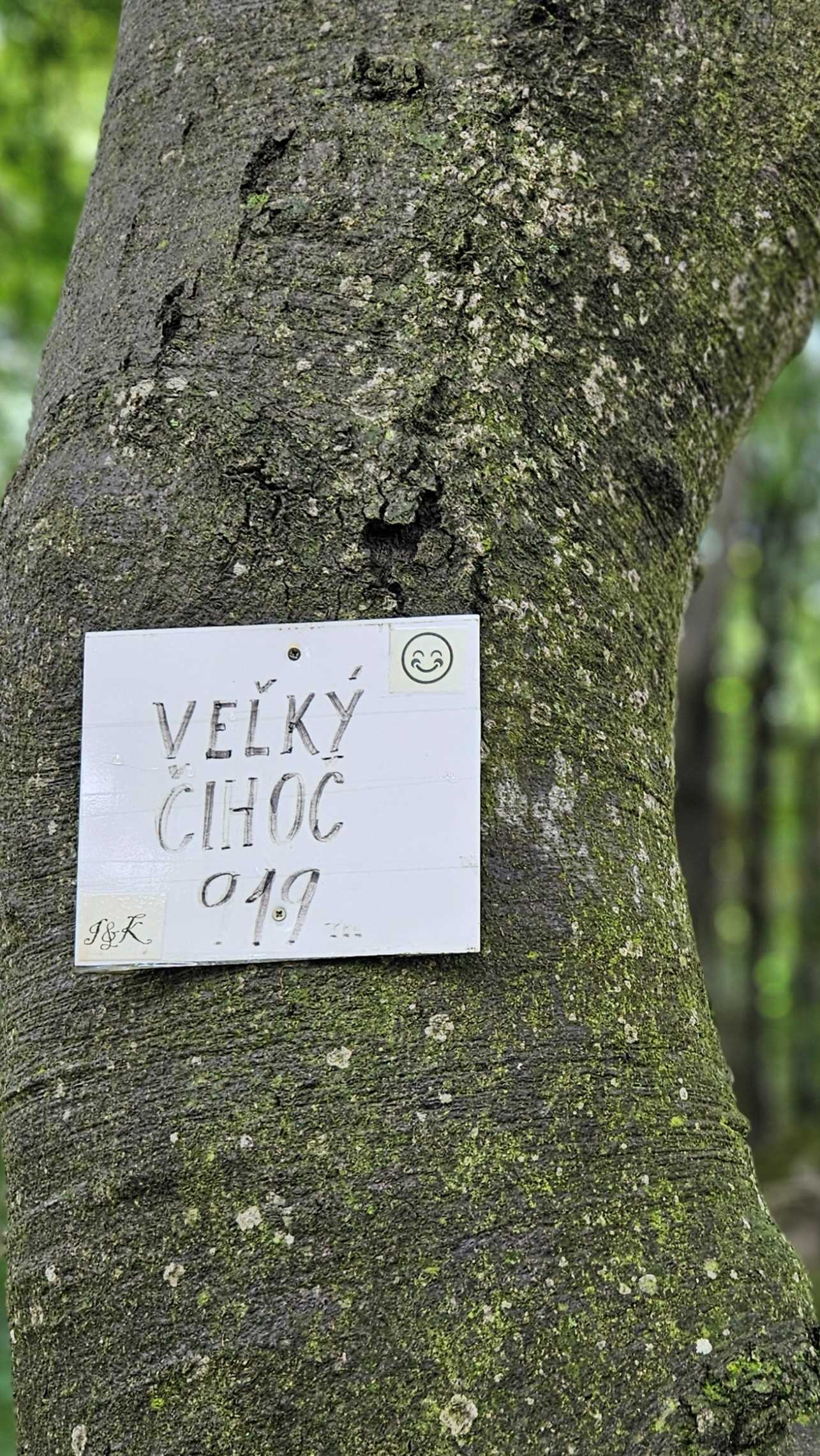 010_Veľký Čihoc vrchol