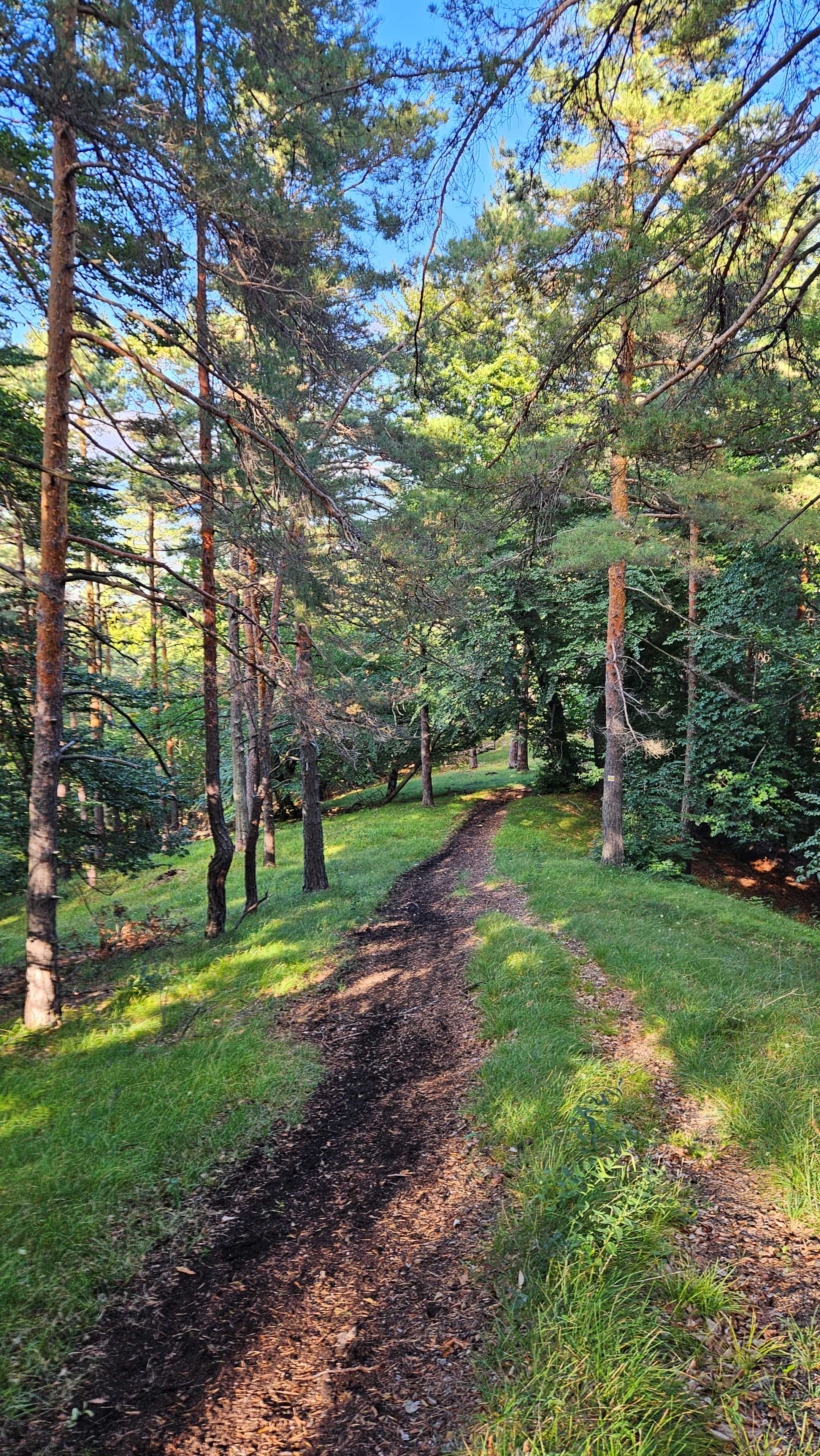 046_Chodník do Nitrianskeho Rudna